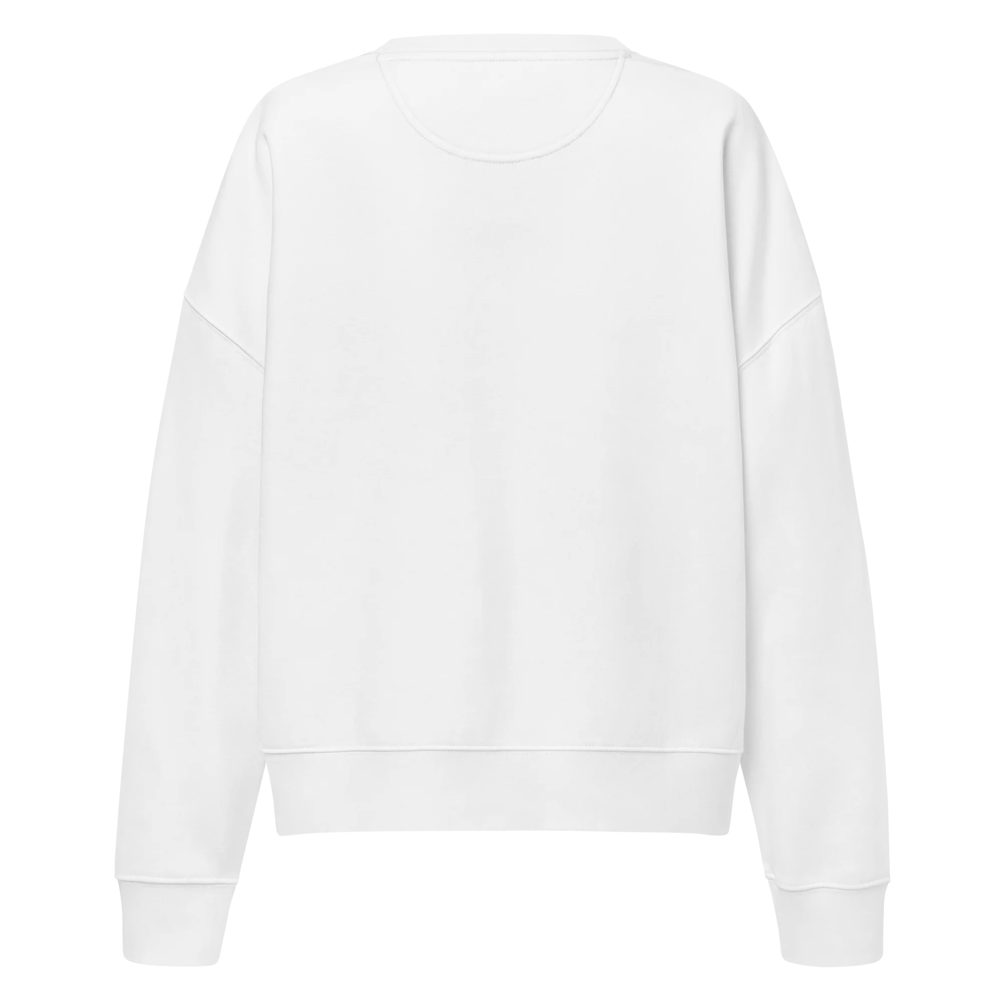 Destroy The Patriarchy Not The Planet Embroidered Women’s Organic Sweatshirt - Image 4