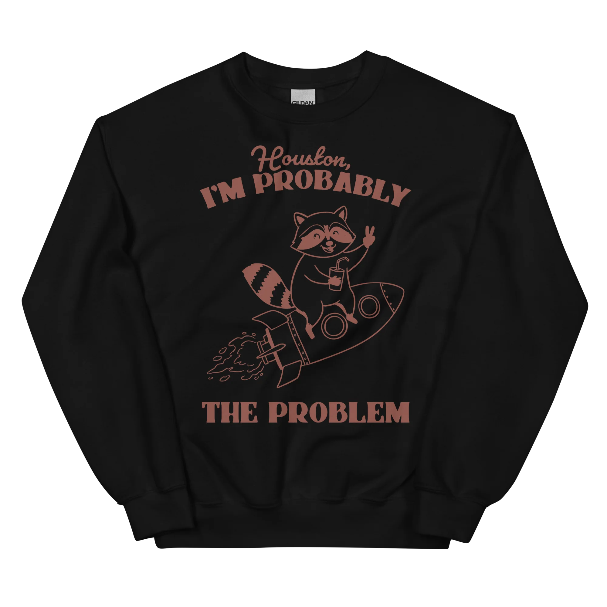 Houston I'm Probably The Problem Sweatshirt - Image 10