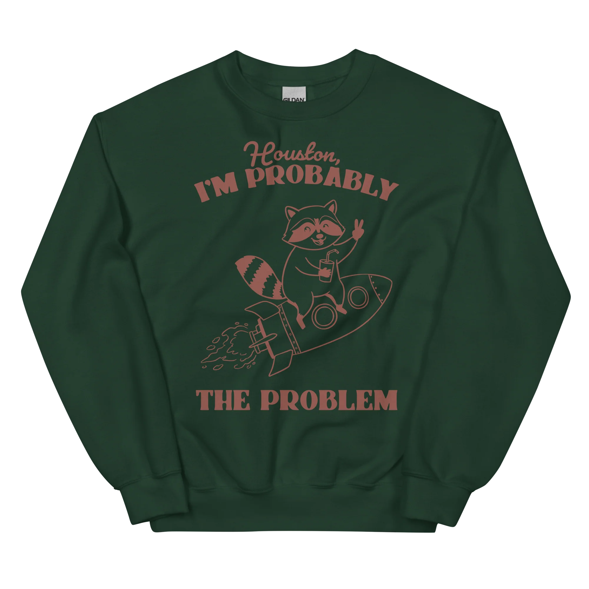 Houston I'm Probably The Problem Sweatshirt - Image 11