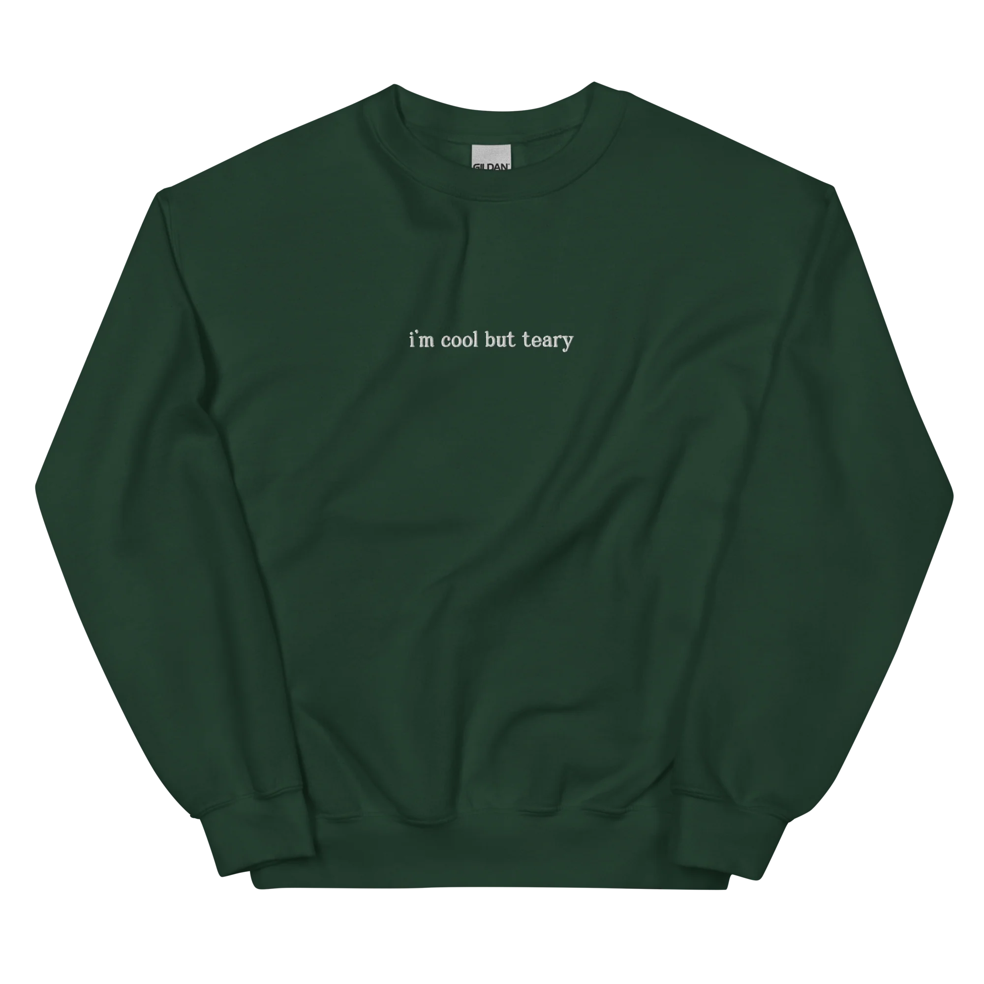 I'm Cool But Teary Embroidered Sweatshirt - Image 5