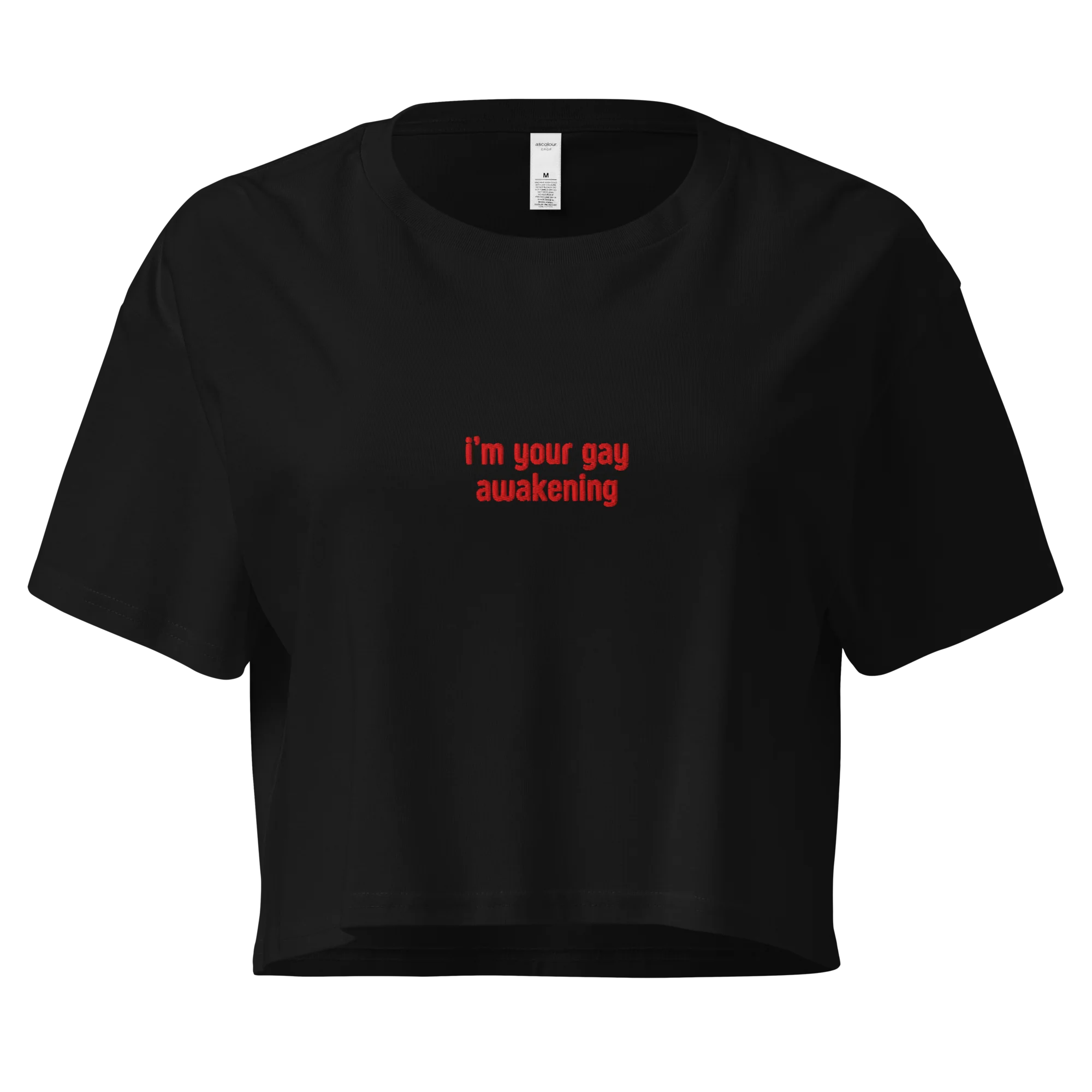I'm Your Gay Awakening Embroidered Crop Tee - Image 7