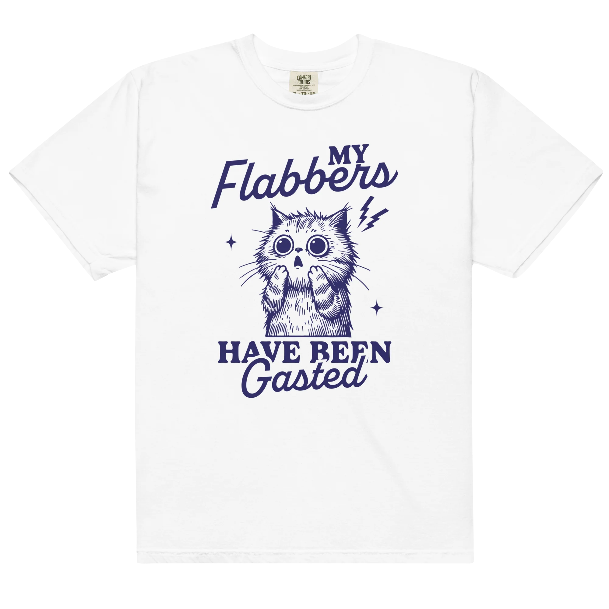 My Flabbers Have Been Gasted Classic T-Shirt
