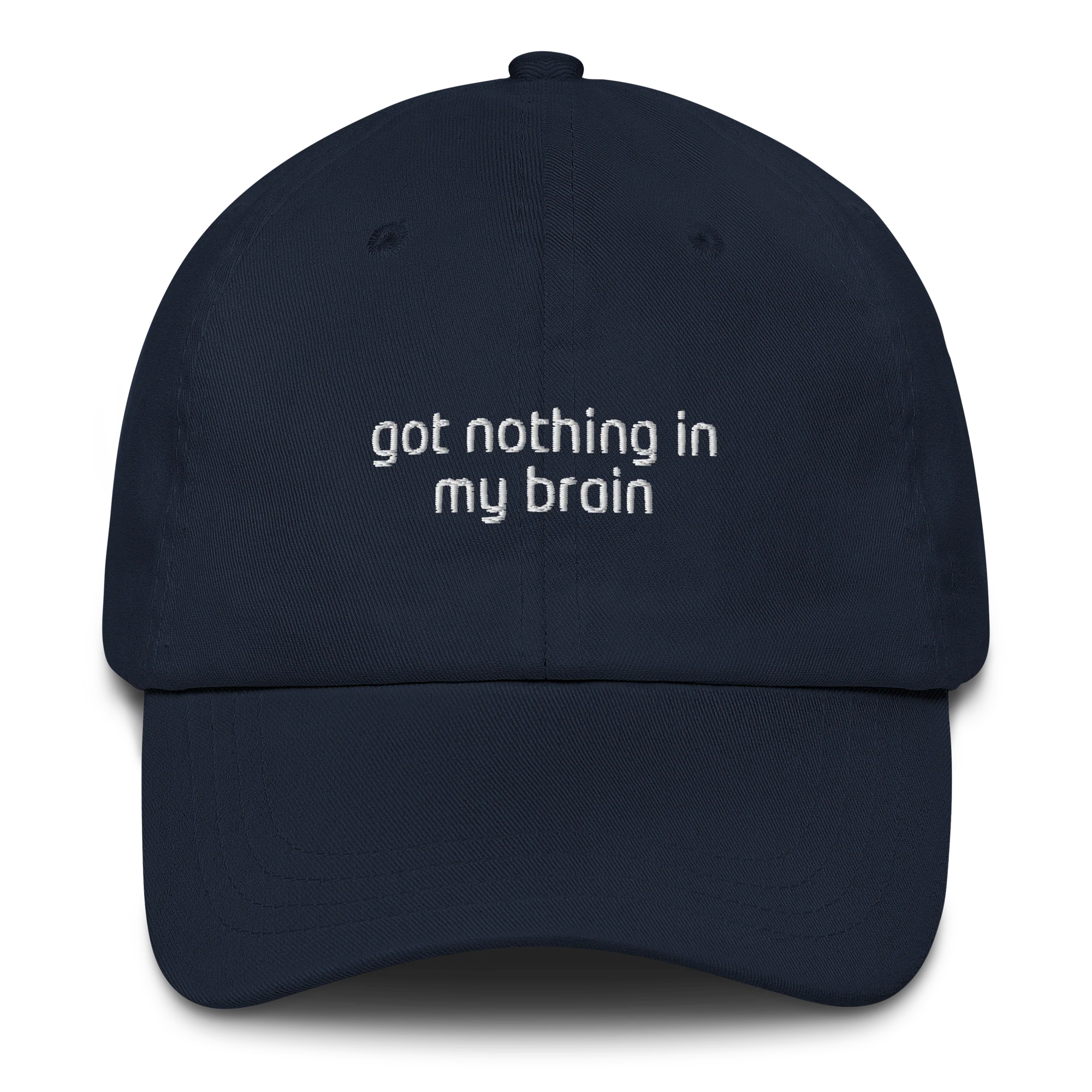 Got Nothing In My Brain Embroidered Cap