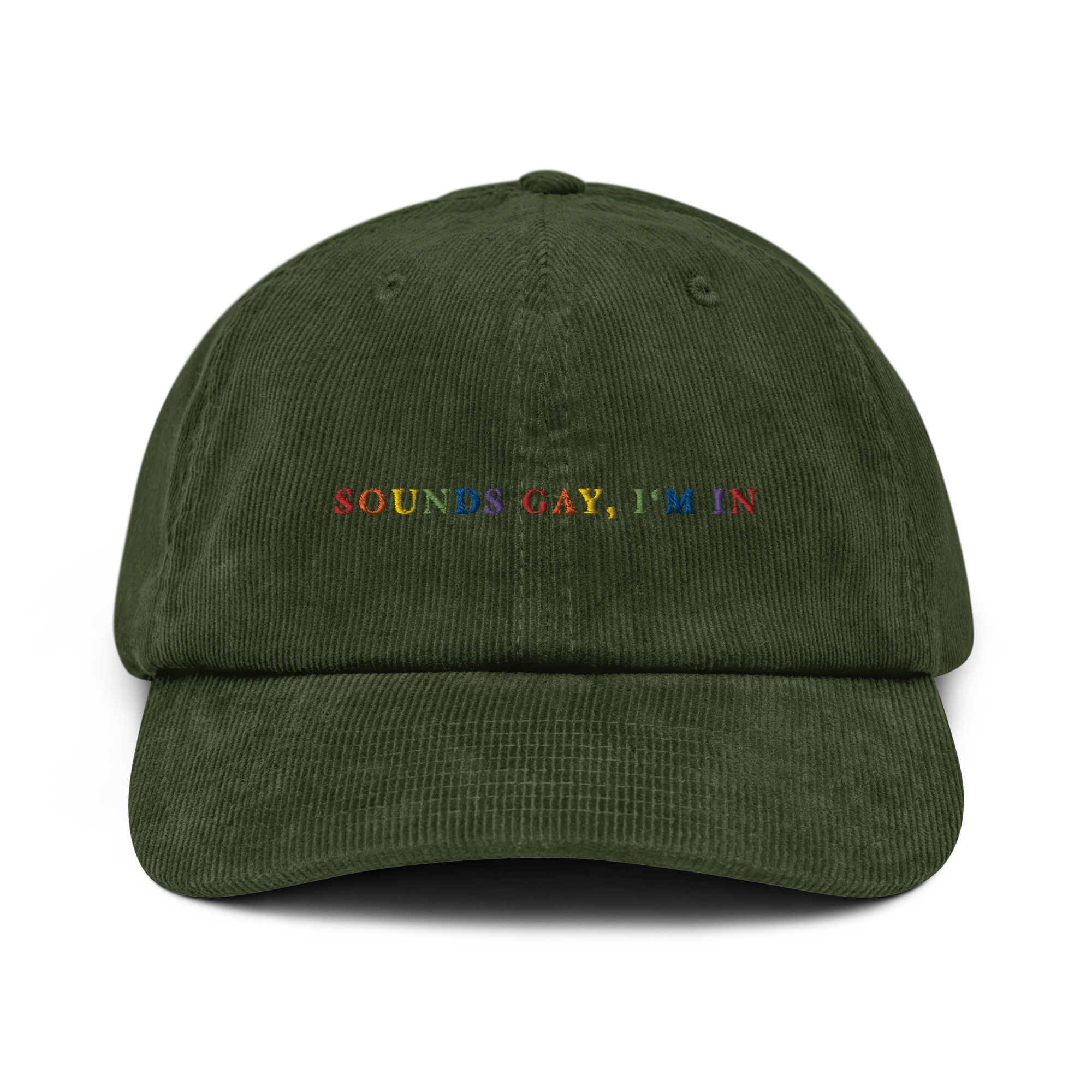 Sounds Gay I'm In Pride Embroidered Corduroy Cap - Image 5