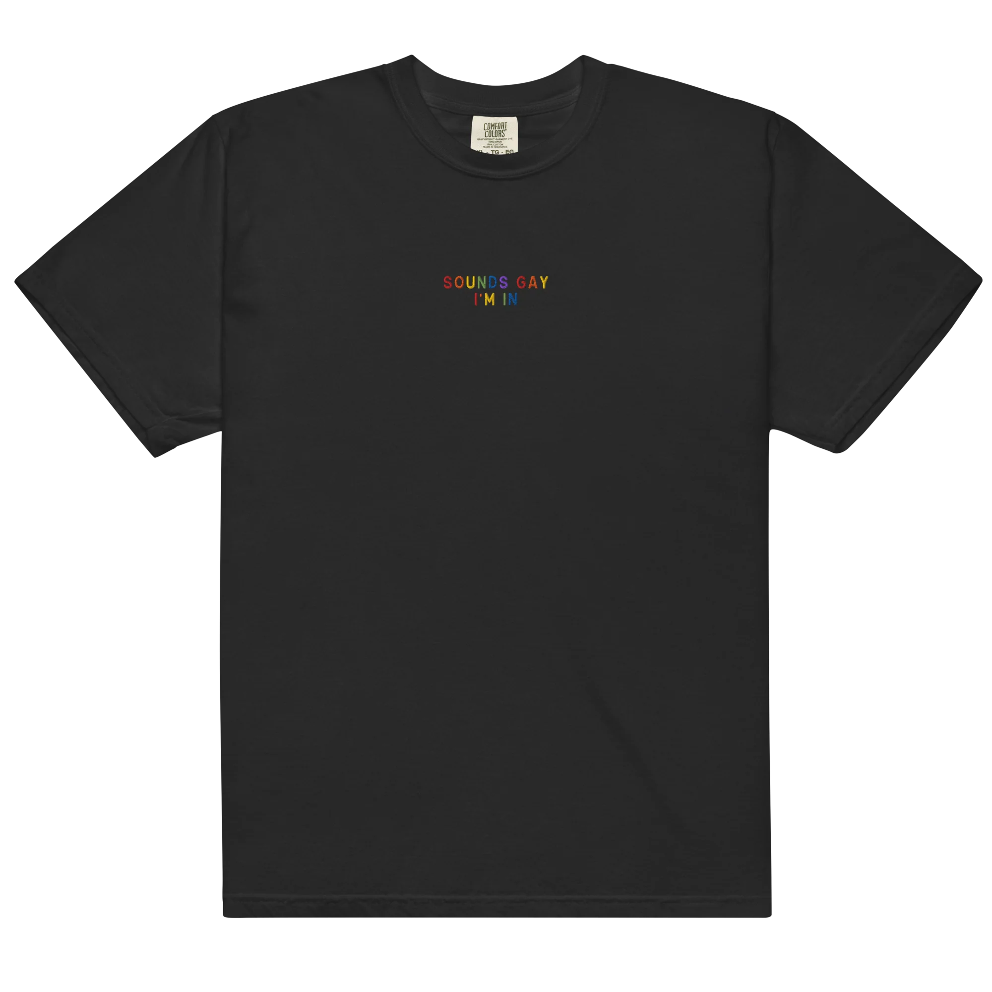 Sounds Gay, I'm In Pride Embroidered Classic T-Shirt - Image 3